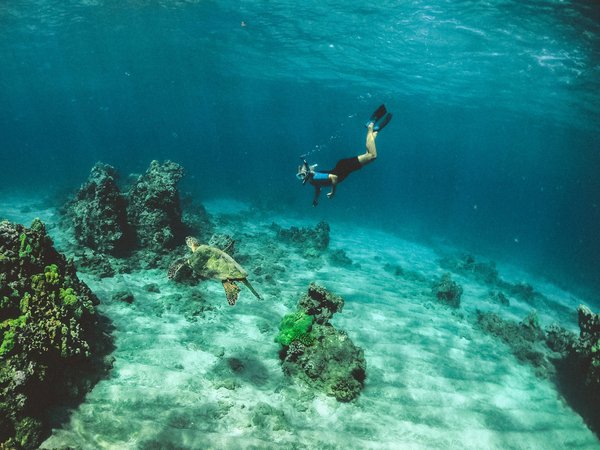 Quels sont les meilleurs spots pour la plongée en apnée sur l'île de Cozumel, Mexique ?